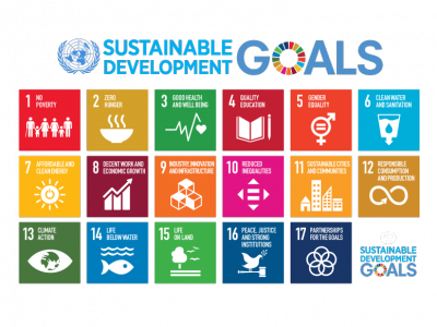 Webinar SDGs Strategies of Universities and THE Impact Rankings