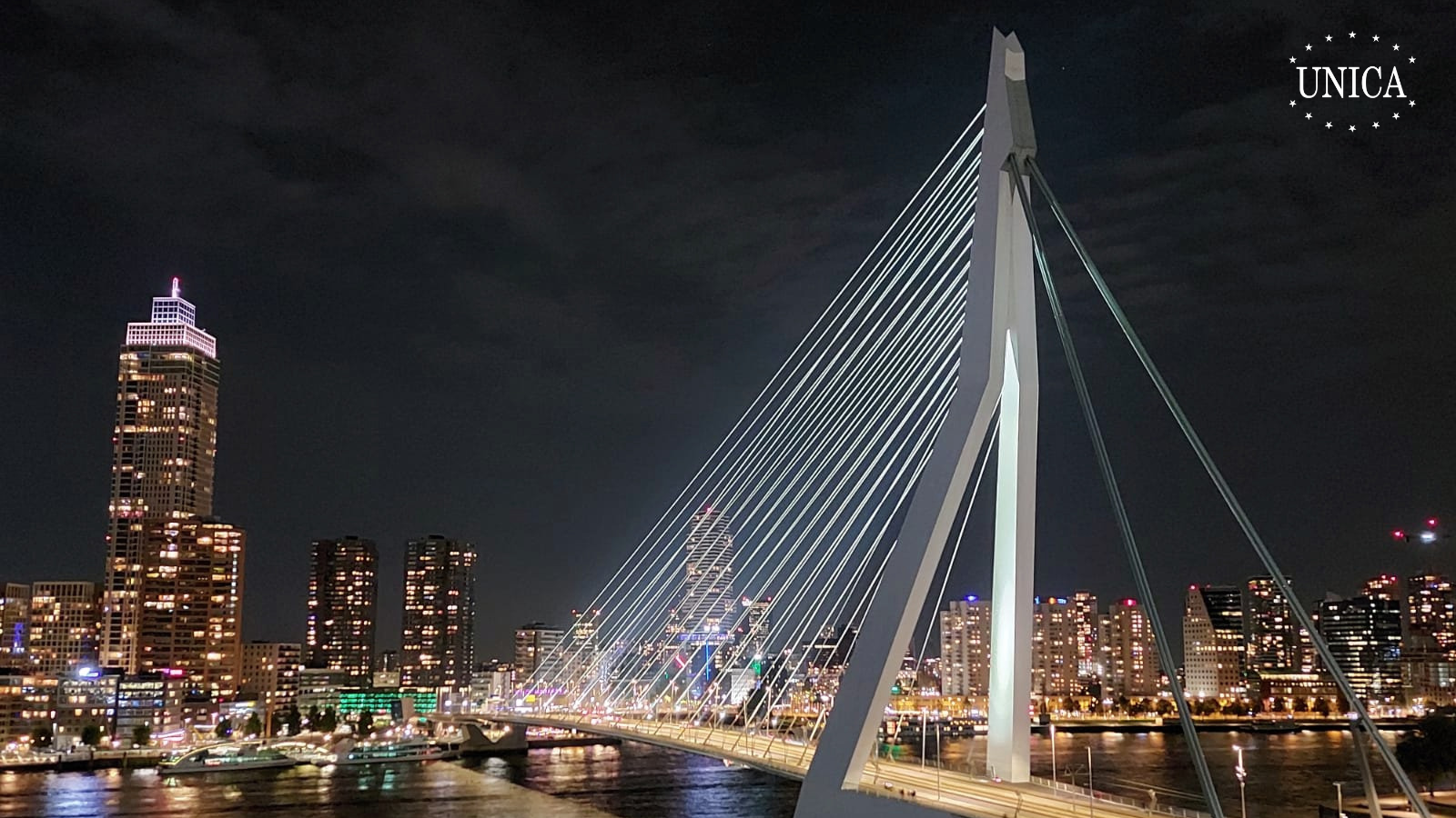 Erasmus bridge in Rotterdam by night. Buildings in the back